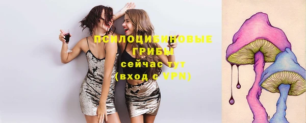 mdpv Лихославль