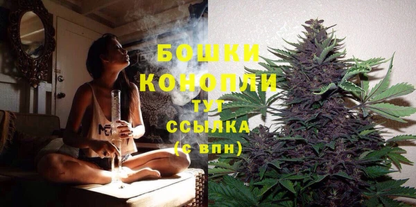 mdpv Лихославль