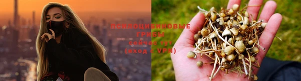 мескалин Майский