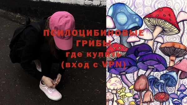 mdpv Лихославль