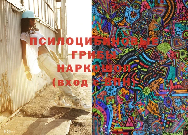 соль ск Липки