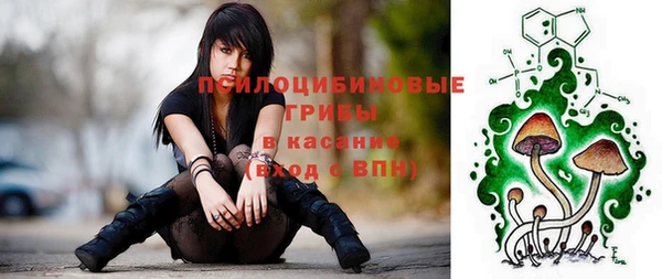 mdpv Лихославль