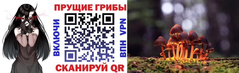 Псилоцибиновые грибы Magic Shrooms  Купить где  Кирсанов 